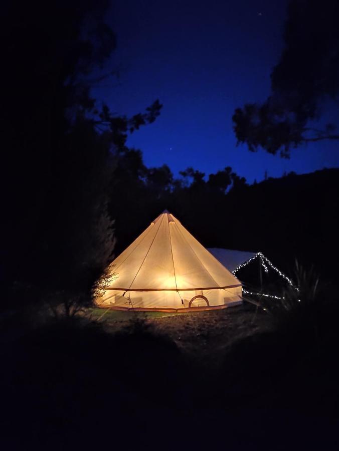 Glamping At Zeehan Bush Camp Exterior foto