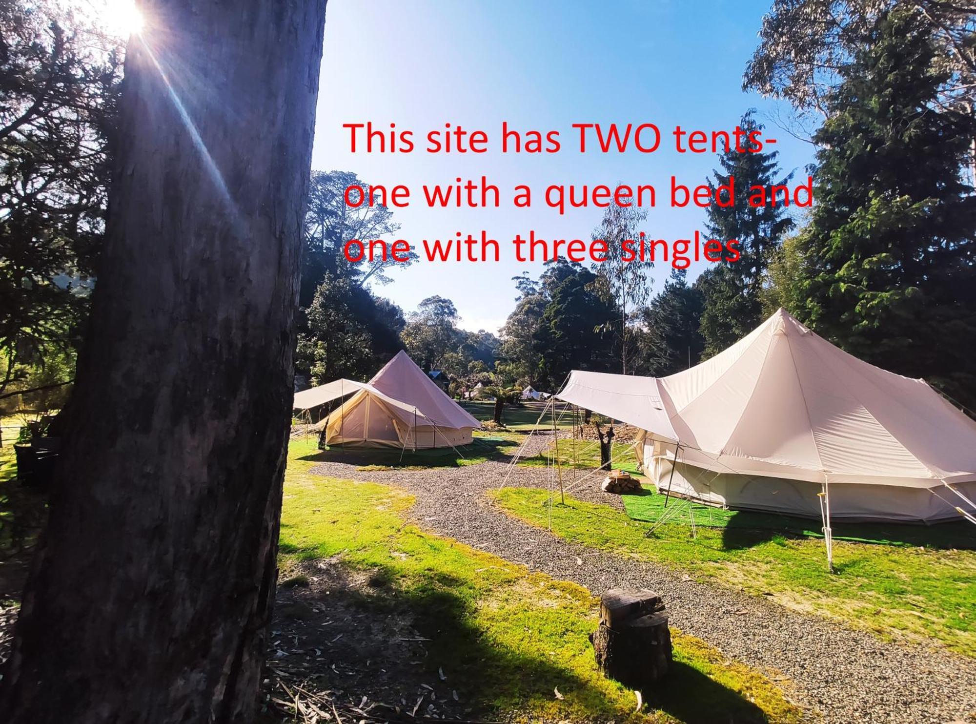 Glamping At Zeehan Bush Camp Exterior foto